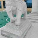 荆州 白麻花岗岩动物异形石雕-大象